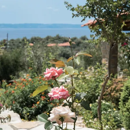 Ellaida Holiday home Lagomandra